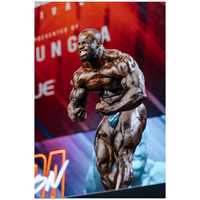 Pantalon de bodybuilding CJ's Elite BLACK BASED TEAL CRACKED ICE