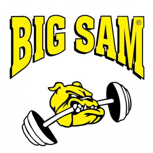 Big Sam logo